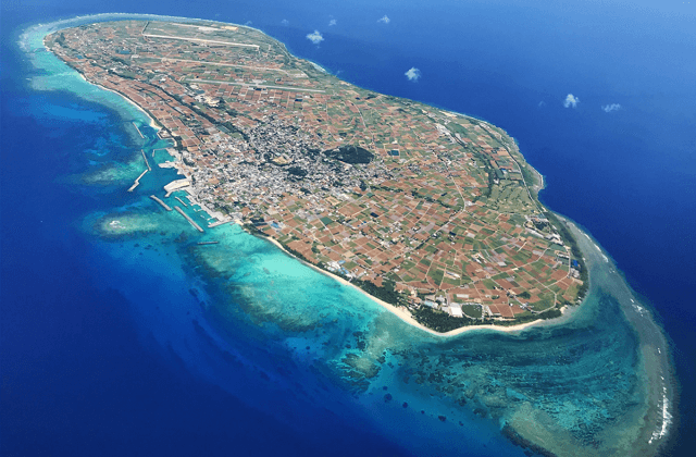 沖縄北部エリア