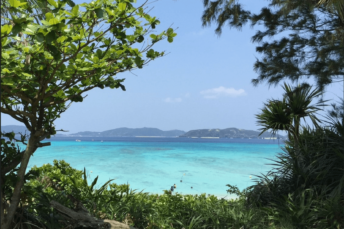沖縄北部_海